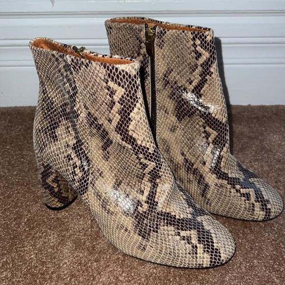 Snakeskin Booties - Picture 1 of 4
